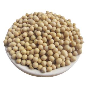 安徽农家自种新鲜黄豆打豆浆豆粉专用散装 5斤家用焖猪蹄配料即食