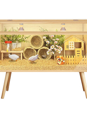 芦丁鸡饲养箱专用笼子小鸡育雏保温箱恒温造景小屋家用卢丁鸡养箱