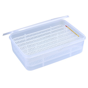 乌龟蛋孵化盒无介质石金钱龟水陆龟蜥蜴蛇守宫爬宠蛋防抖孵化器