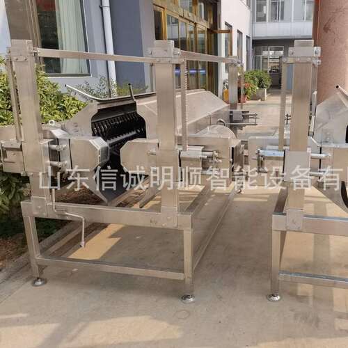 家禽打脖机鸡鸭头颈脱毛机屠宰流水线设备清理干净厂家供应除毛