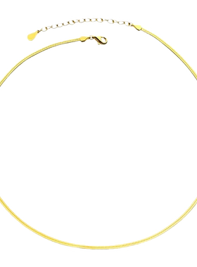金色高级感蛇骨链轻奢小众不掉色