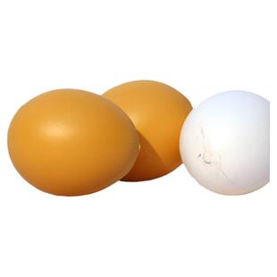 鸡引蛋 假鸡蛋 母鸡引蛋 仿真鸡蛋 鸡窝假鸡蛋 养鸡设备 儿童玩具