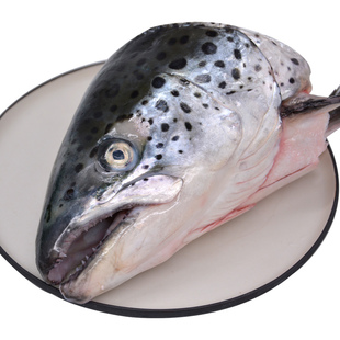 冰鲜三文鱼头新鲜三文鱼边角料新鲜鱼骨真空包装整条现切冷冻鱼头