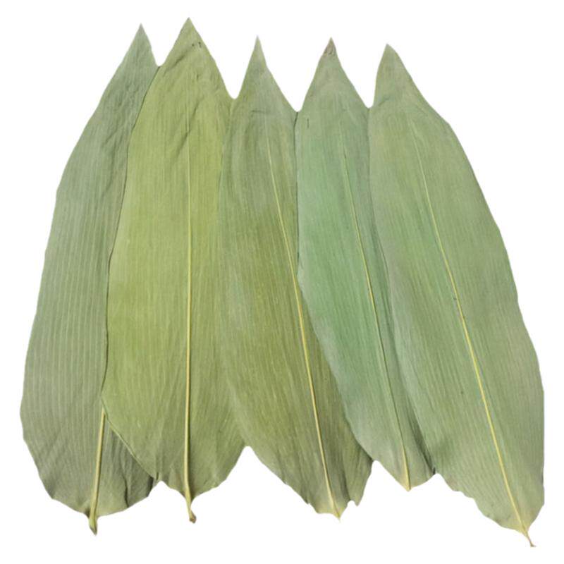 中小号天然箬竹干粽叶包粽子