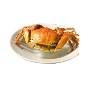 净重盘锦河蟹大闸蟹活蟹礼盒母蟹大螃蟹稻田蟹现货包邮