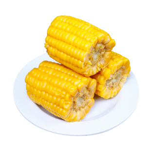 云南玉米真空装免煮宿舍甜糯玉米段商用开袋即食小吃零食早餐半截