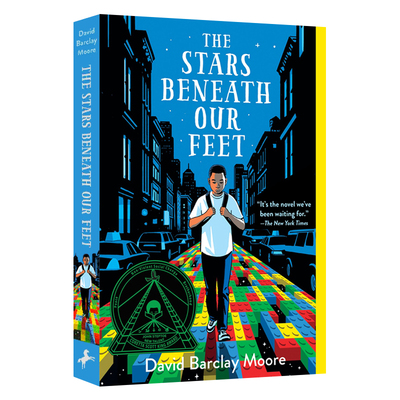 我们脚下的星星英文原版小说