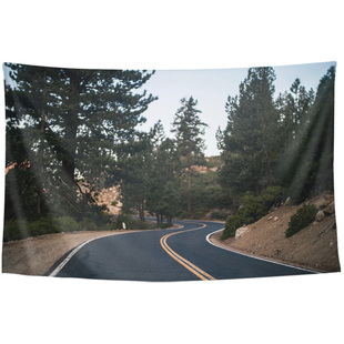 户外野外公路自驾自然风景道路写真墙壁装饰画背景布海报挂布挂毯