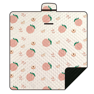 可机洗野餐垫超声波工艺户外露营地垫牛津底防泼水草坪垫沙滩地席