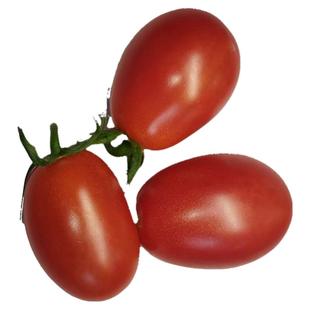 广东湛江正宗电白冰糖千禧圣女果樱桃小番茄西红柿应季水果车厘茄