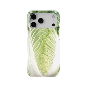 蔬菜iPhone16promax手机苹果磨砂