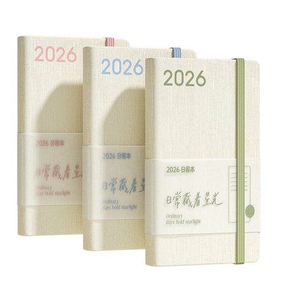 2026年日程本一日一页计划本效率手册高颜值ins风笔记本本子2025日程表日历记事本每日月日记手帐本