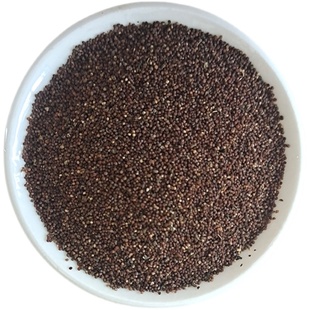 矮牵牛花种子室内阳台盆栽植物多年生垂吊七色喇叭花观花四季易种