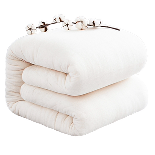 新疆棉花被芯一级优质长绒棉被子冬被加厚保暖棉絮床垫手工正品