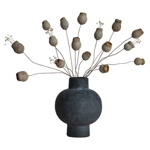 天然进口南非干花果实复古插花摆设真花装饰diy花材永生花招财果