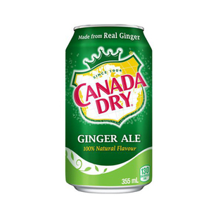 加拿大原瓶进口Canada dry Ginger Ale DIET 无糖姜汁汽水干姜水