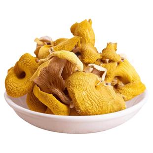 鸡油菌干货500g云南特产蘑菇新鲜干黄丝菌菌菇黄金菇榆黄菇煲汤料