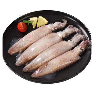 带籽笔管鱼海兔子满籽墨鱼仔新鲜海兔鲜活大乌贼籽乌鱿鱼海鲜水产