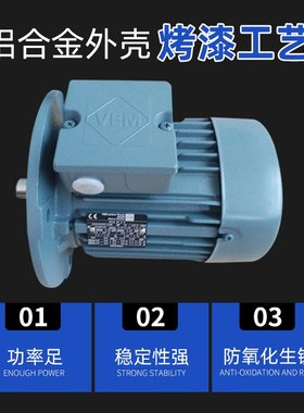 德国VEM 机械设备电机0.75KW K21三相异步马达电动机厂家批发