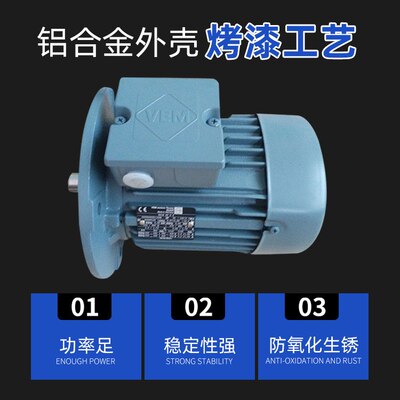 德国VEM 机械设备电机0.75KW K21三相异步马达电动机厂家批发
