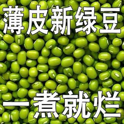 薄皮小绿豆东北小绿豆熬粥沙糯煮汤绿豆糕五谷杂粮便宜批发清仓