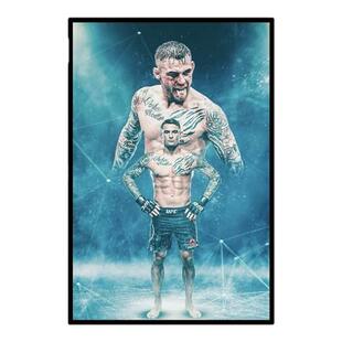 UFC钻石普瓦里尔挂画MMA综合格斗拳击馆武术馆装饰画跆拳道壁画