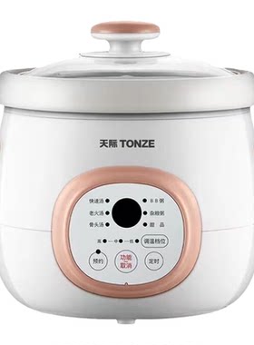天际电炖锅全自动煲汤多功能家用