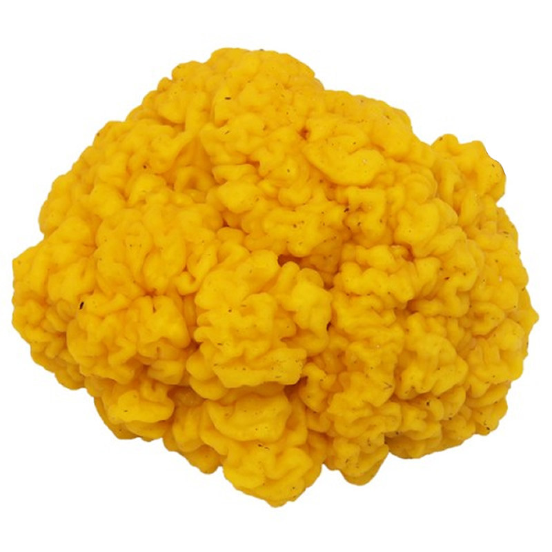 2斤装新鲜金耳菌1000g菌菇黄金