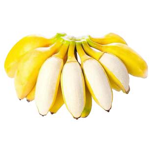 正宗苹果蕉banana香蕉水果香甜苹果粉蕉自然熟当季小米芭蕉果粉蕉