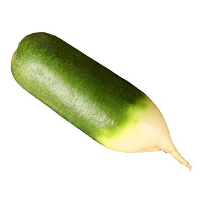 东北水果萝卜农家自种脆甜不辣