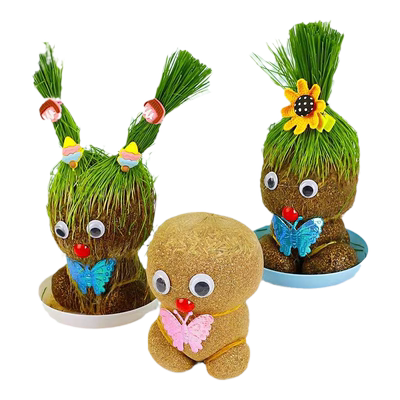 草头娃娃头上长草人小盆栽种植物浇水长头发迷你绿植儿童观察生长