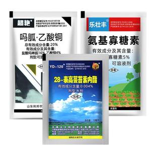 病毒病专用氨基寡糖素吗胍乙酸铜芸苔素番茄辣椒植物杀菌剂组合
