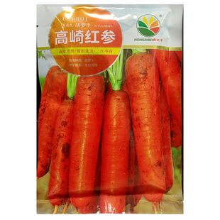 高崎红参胡萝卜种子红色皮红心红肉胡罗卜种籽心肉50克内装10小袋