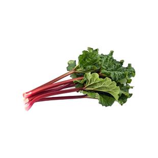 维多利亚大黄种子 食用大黄 Victoria Rhubarb Seed 欧美甜品特菜