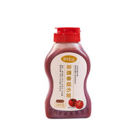 寻味密码新疆番茄酱儿童番茄沙司2瓶