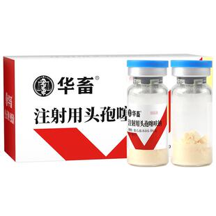 华畜兽药头孢噻呋钠兽用注射用液猪牛羊产后消炎抗菌药注射剂针剂