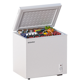 先科冰柜一级能效家用小型全冷冻冷藏两用冷柜迷你减霜商用冷柜