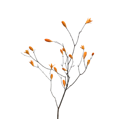 禅意玉兰果干花装饰摆设