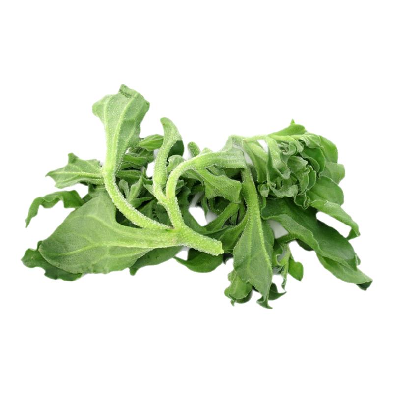 沙拉蔬菜新鲜冰草冰菜