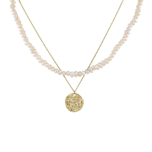 天然异形珍珠圆牌叠戴项链女轻奢小众设计复古锁骨链精致颈链配饰