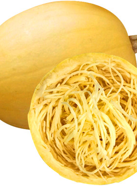 黄金天然粉丝高产四季种孑角瓜