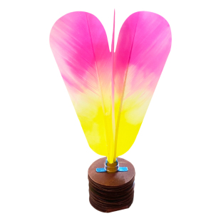 南派花毽纯手工制作头层牛皮底羊颈皮片毽子大人户外运动健身专用