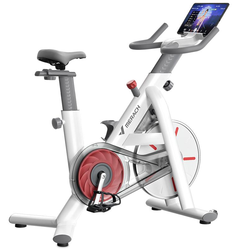 麦瑞克动感单车运动磁控健身家用自行车减肥器材室内静音绝影TT