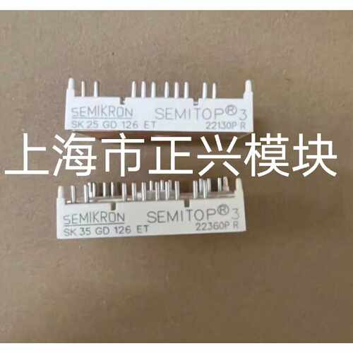 SK25GD126ET SK35GD126ET SK35GD
