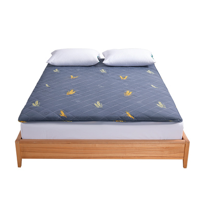 远梦时尚休闲折叠床垫