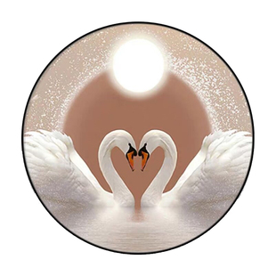 现代轻奢主卧室床头装饰画天鹅圆形挂画酒店背景墙面玄关走廊壁画