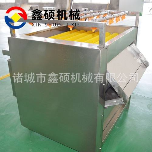 荷叶粽叶清洗设备山菜清洗机全自动洗粽叶机器蒸煮粽子流水线设备