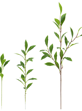 仿真茶树叶3D马醉木吊钟平替