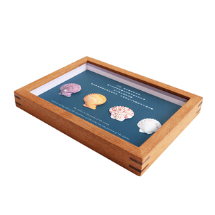 中空立体实木相框榫卯定制昆虫标本贝壳植物干花5cm加厚画框DIY