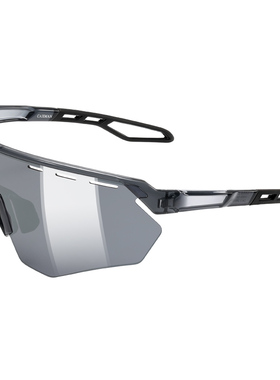 登山运动墨镜女款防强光防沙尘防紫外线灰色镜片户外护目镜